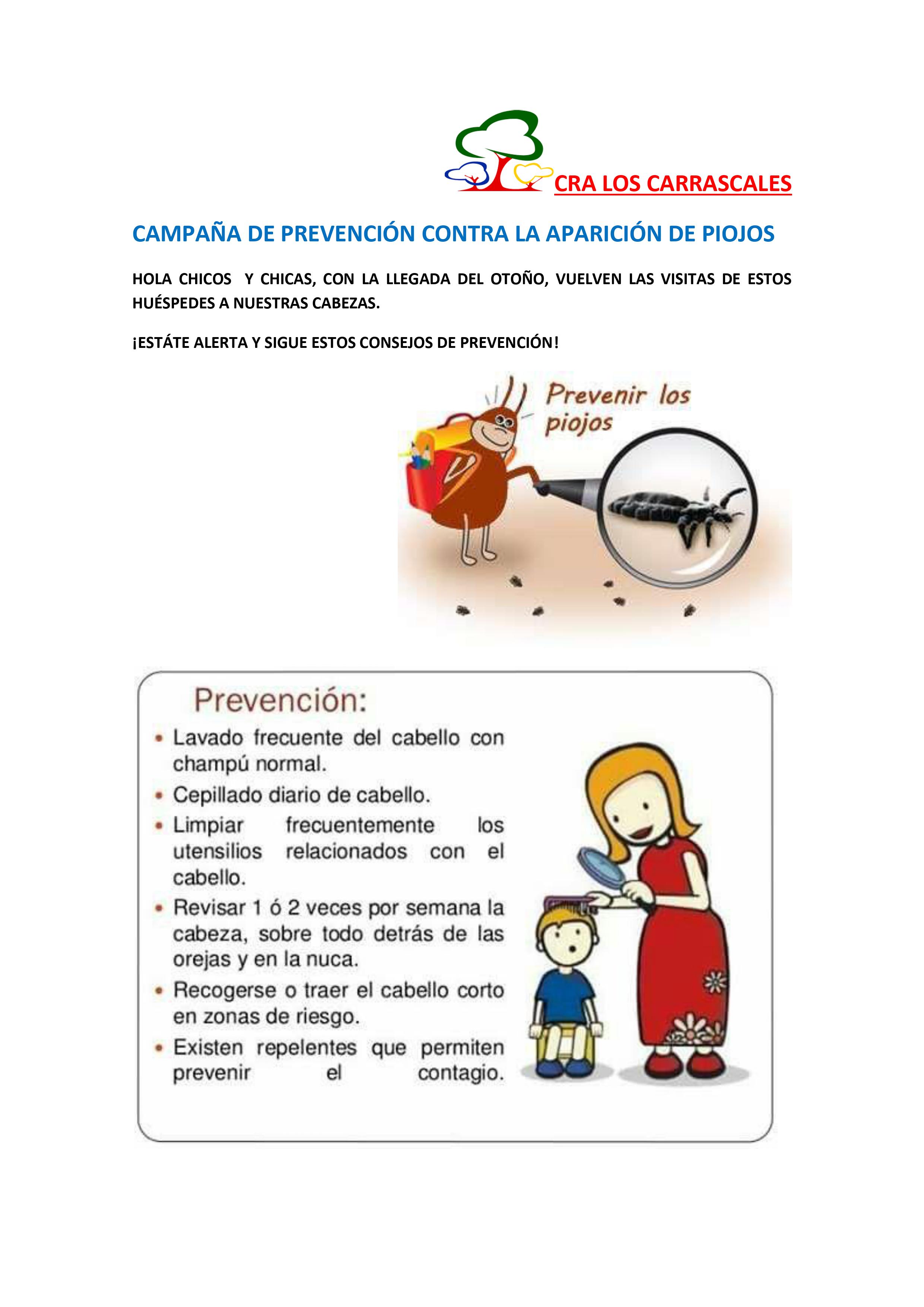 Cuidados y consejos para la prevención de piojos